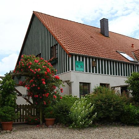 Behrensdorf Haus Wildgans - Ferienwohnung Sonnenblume מראה חיצוני תמונה